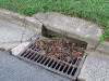 rose-hill-storm-drain