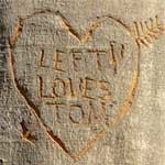 Lefty-Tree-Carve