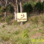 Perriello-w-symbol-B