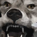 Cry-Wolf-Header2-600