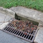 rose hill storm drain