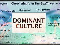 Fragility, privilege, and guilt: Racial-sexual classroom indoctrination lessons cause uproar at Henley Middle School