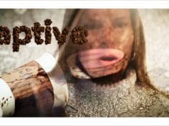 Captive audience: No “opt-out” of Critical Race Theory in Albemarle County Schools