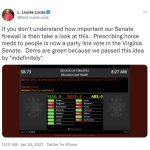 _Video__Sen__Louise_Lucas_Orders_Committee_Room_Cleared_As_Ivermectin_Supporter_Shouts_“you_will_pay_for_this_one_day”___Blue_Virginia_-_Vivaldi