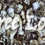 Free Love header