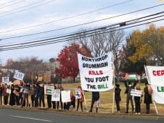 1000 words: Pro-Palestine protest in Charlottesville
