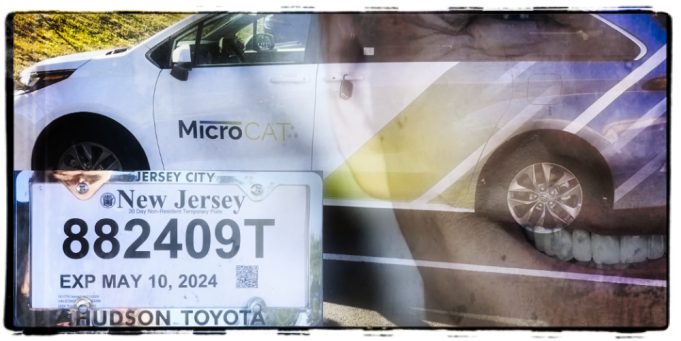 MicroCAT expired tags Albemarle County The Schilling Show