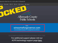 ACPS blocks Winsome Earle-Sears; allows Spanberger